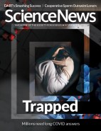 cover of the November 5, 2022 issue