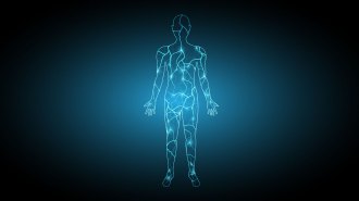 An illustration of a body created with light blue lines to simulate electricity.