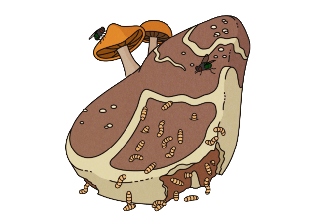 illustration of a rotting steak with maggots and mushrooms growing on it