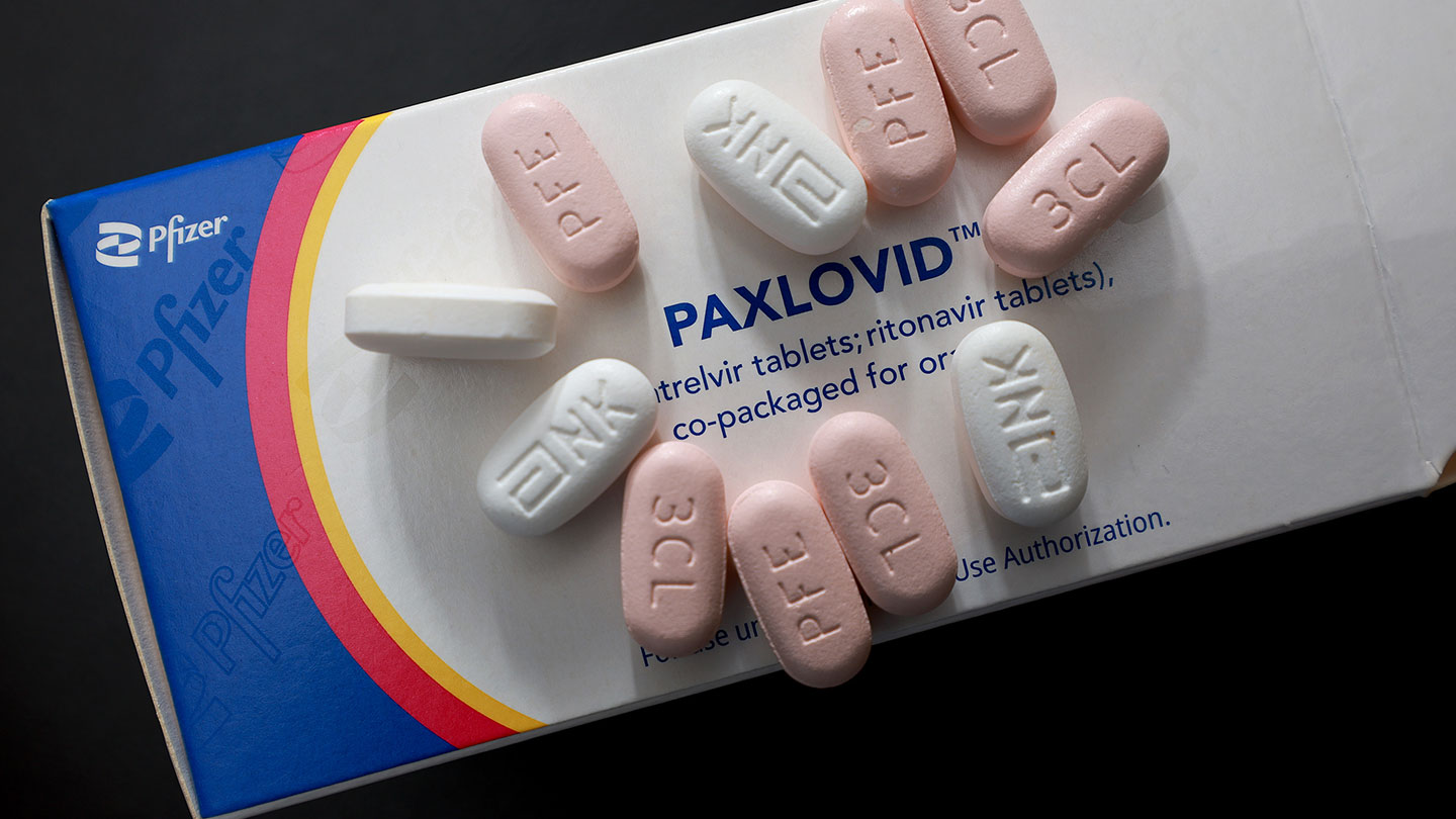 paxlovid and semaglutide The antiviral drug Paxlovid reduces the risk of getting long COVID