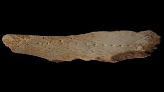 A photo of a punctured animal bone fragment on a black background.