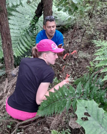 A man and woman looking at plants, some marked with reddish pink tape
