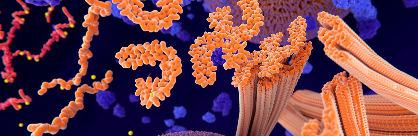 An illustration of tau proteins, in orange, with blue and purple proteins floating around.