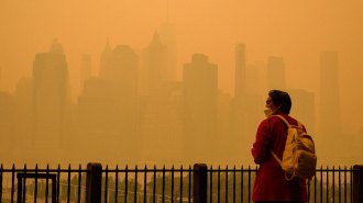 A photo of a person standing in front of the New York City skyline which is barely visible through an orange haze.