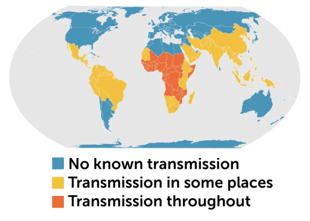 A map of the world shows the countries with no known malaria transmission in blue, malaria transmission in some places in yellow and malaria transmission throughout in orange.