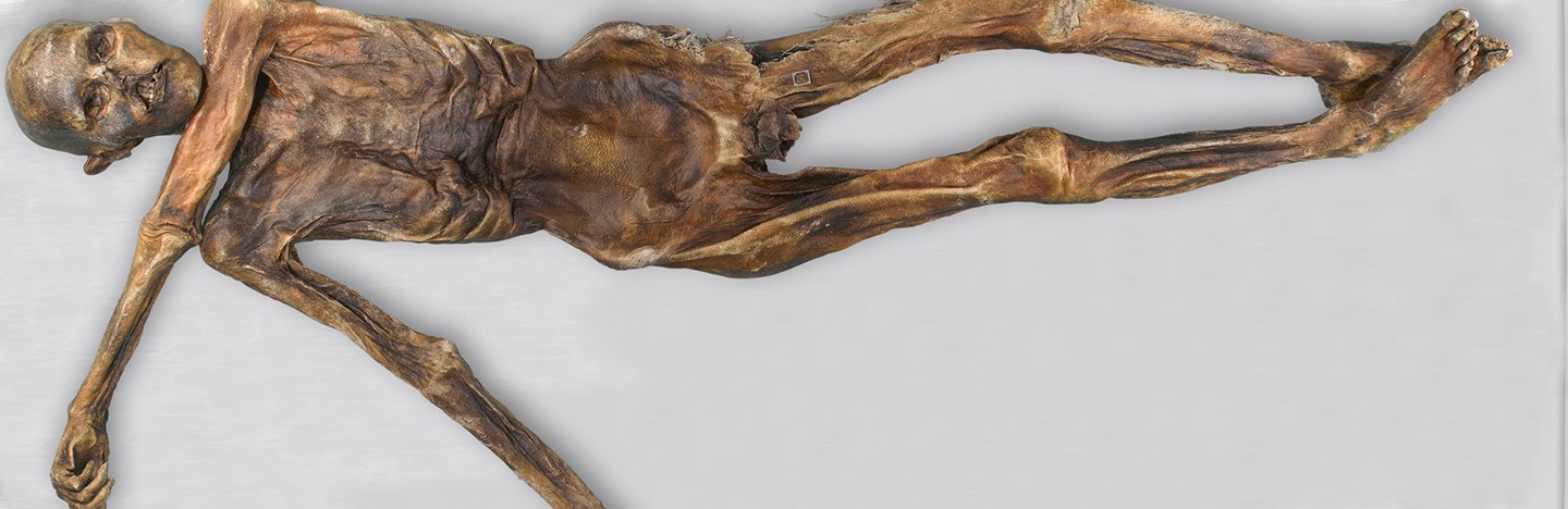 An overhead photo of the Iceman Ötzi mummy lying on a white table.