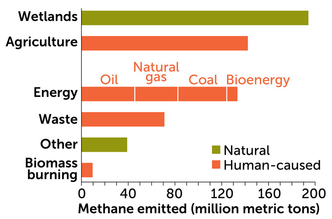 A bar chart shows methane emissions in 2022 by source and color-coded by natural causes in green or human causes in orange. Methane emissions are measured in millions of metric tons. Wetlands emit the most methane via natural causes. Agriculture comes in second (entirely human-caused) and energy comes in third (also entirely human-caused and broken down by oil, natural gas, coal, and bioenergy).