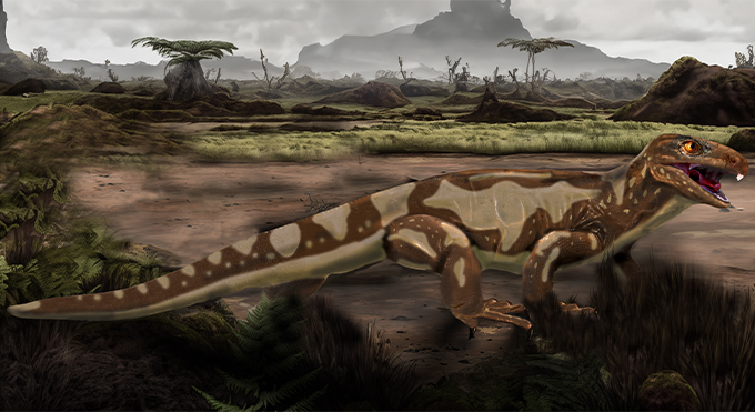 An illustration of a four-legged vertebrate walking on the ground.