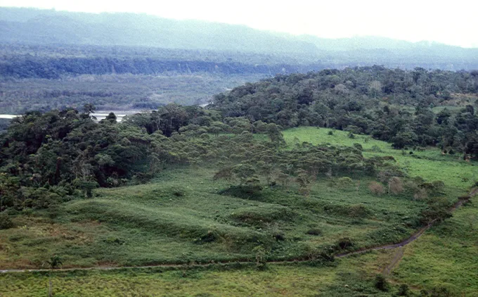 A picture of a green valley with linear mounds in grassy areas