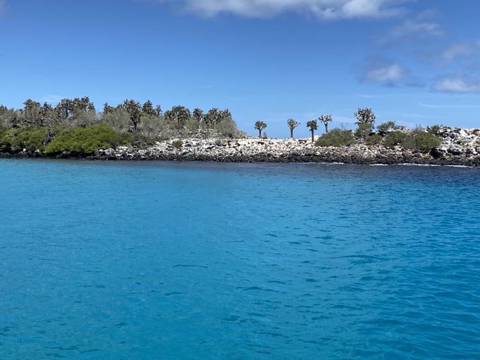 A small, rocky island covered in dry vegetation, including tall cacti and crystal blue water