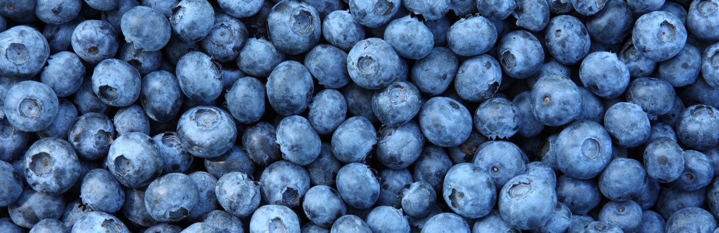 an image that is filled with nothing but blueberries