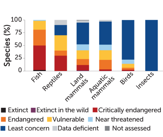 A stacked bar chart showing the percent of fish, reptile, land mammal, aquatic mammal, bird and insect species under different conservation statuses covered by the CMS treaty.