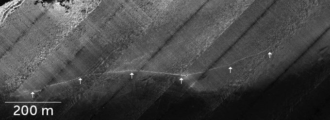 An image of a black and white photographic map with arrows pointing at several points on the underwater wall. The size comparison reference is 200 m.