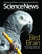 Cover of the January 27, 2024 issue of Science News
