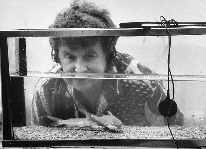Marie Poland Fish wears headphones as she looks through a tank at two catfish.