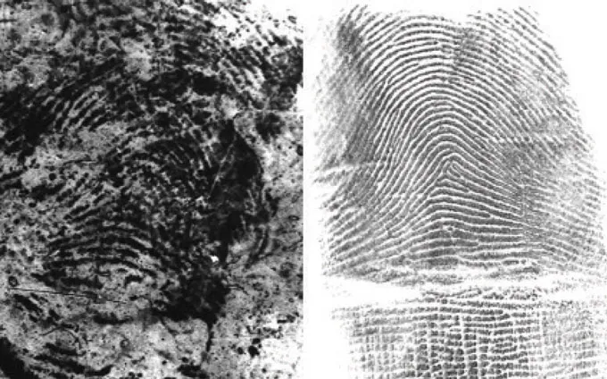 Two scans of thumbprints side-by-side