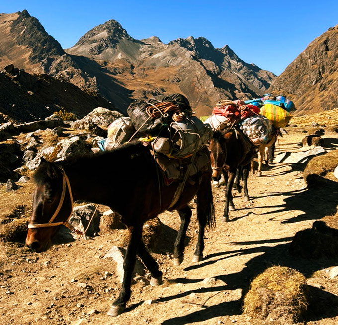 A caravan of horses and mules laden with bundles of goods treks through craggy mountains.