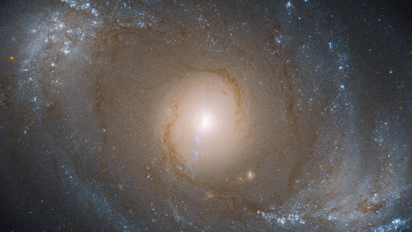 061824_eg_neutrino_feat.jpg?w=330