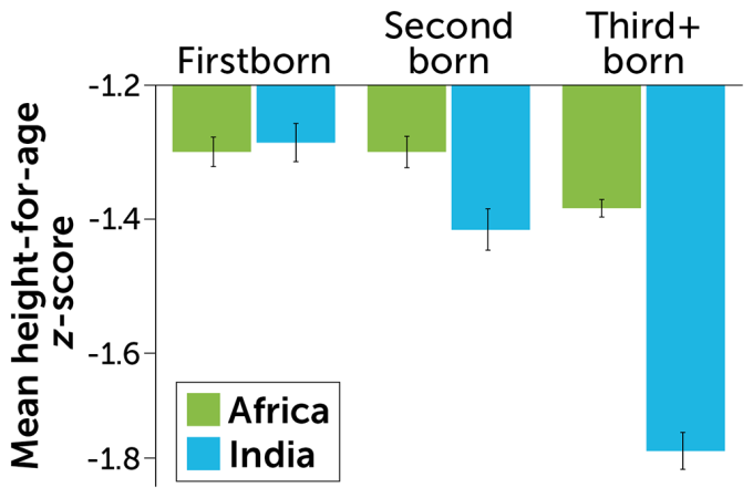 A chart showing the mean height for age z-scores for firstborn, second born and third+ born from Africa and India
