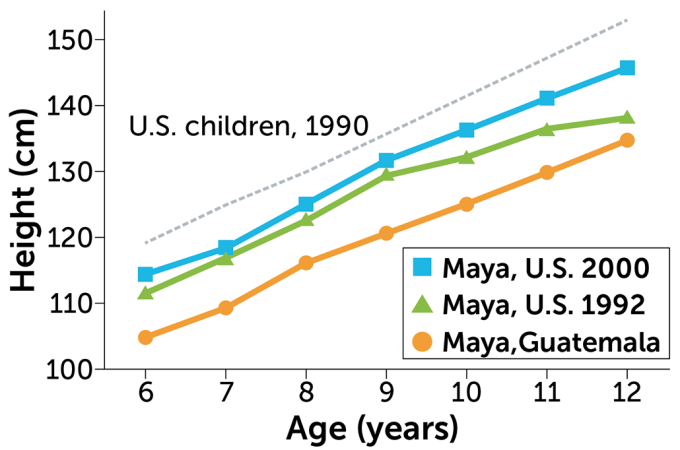 A chart comparing Maya, U.S. 2000; Maya, U.S. 1992; Maya Guatemala; U.S. children, 1990 age in years vs height (cm)