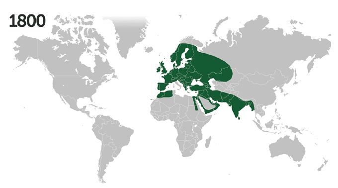 gif of sparrow spread over hundreds of years