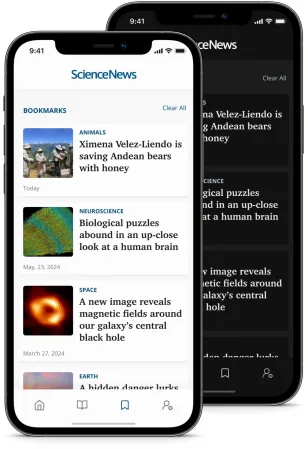 phone with dark mode