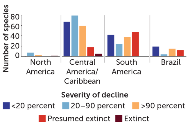 A chart showing the "Severity of decline' on the X-axis, the "Number of species" on the Y-axis, and clusters showing "North America," "Central America/Caribbean," "South America" and "Brazil" on the chart.