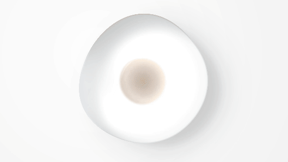 In this gif of an overhead view of a white bowl, a gray circle at the bottom grows into an orange cloud of fungus. It illustrates how a fungus that can be used to turn food waste into food grows.