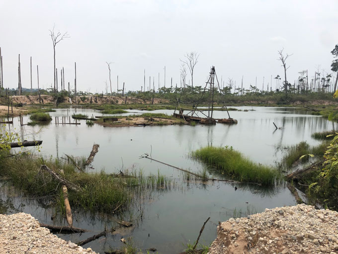 The image shows gray sky against bare trees without leaves. The body of water at the center also appears gray, with a few tree branches floating and sticks protruding.