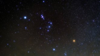 The constellation Orion in the night sky.