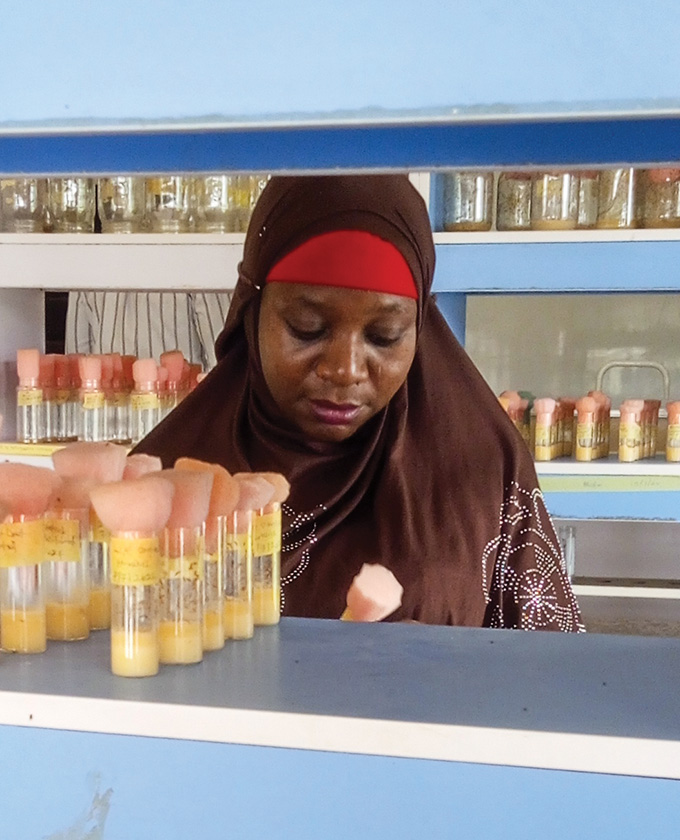 A photograph of Rashidatu Abdulazeez in her fruit fly research lab in Nigeria