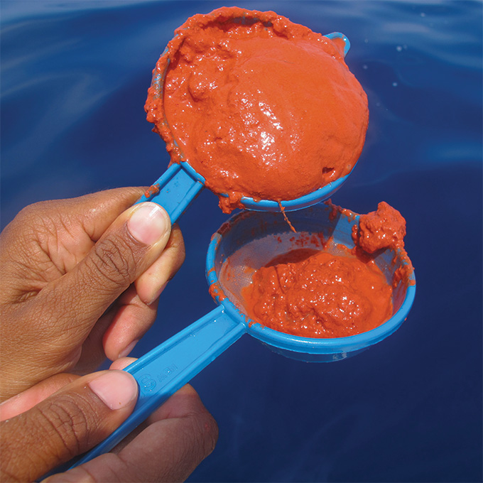 Two hands are holding two blue cups that look similar to measuring cups. Each cup contains orange-red substance that appears to have the consistency of mud.