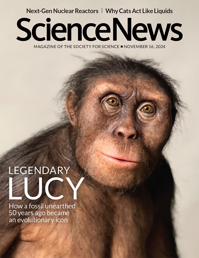 November 16, 2024 cover of Science News