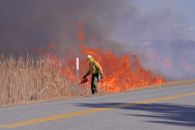 A photograph of a worker conducting a prescribed burn to prevent wildfires.
