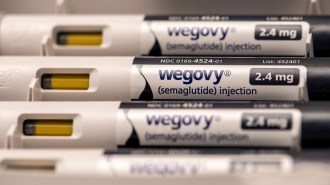 image of wegovy weight loss drug pens
