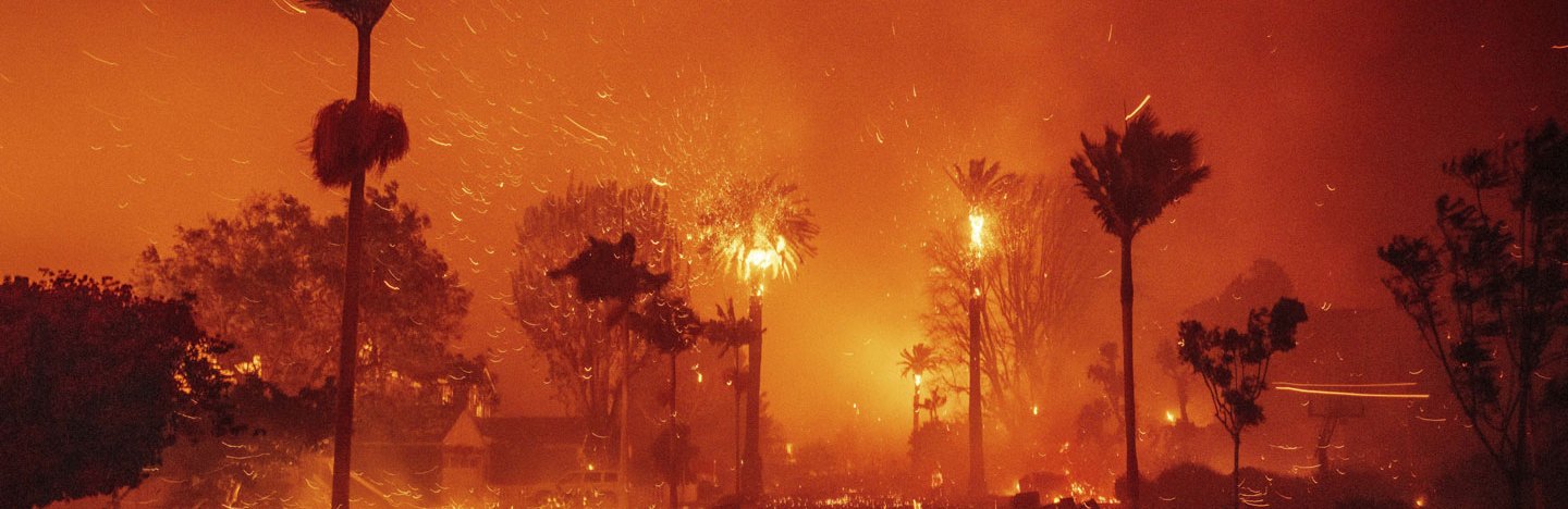 Tress and buildings along a street are on fire.