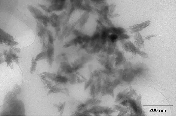 Geometric dark shards are visible in this image. A scale-bar says 200 nm.