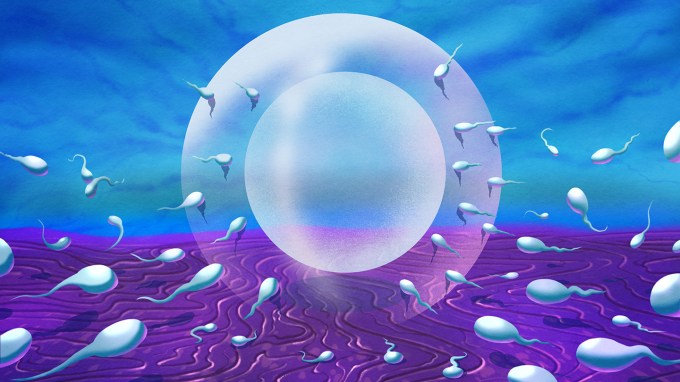 A predominately blue and purple illustration of dozens of sperm swimming towards a translucent shield around an egg