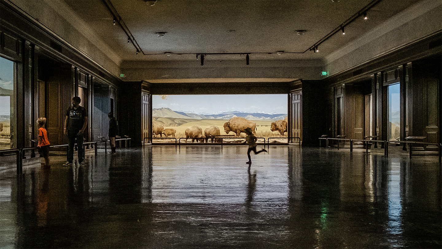 A child runs across the glossy floor in front of the bison diorama at the Natural History Museum of Los Angeles.