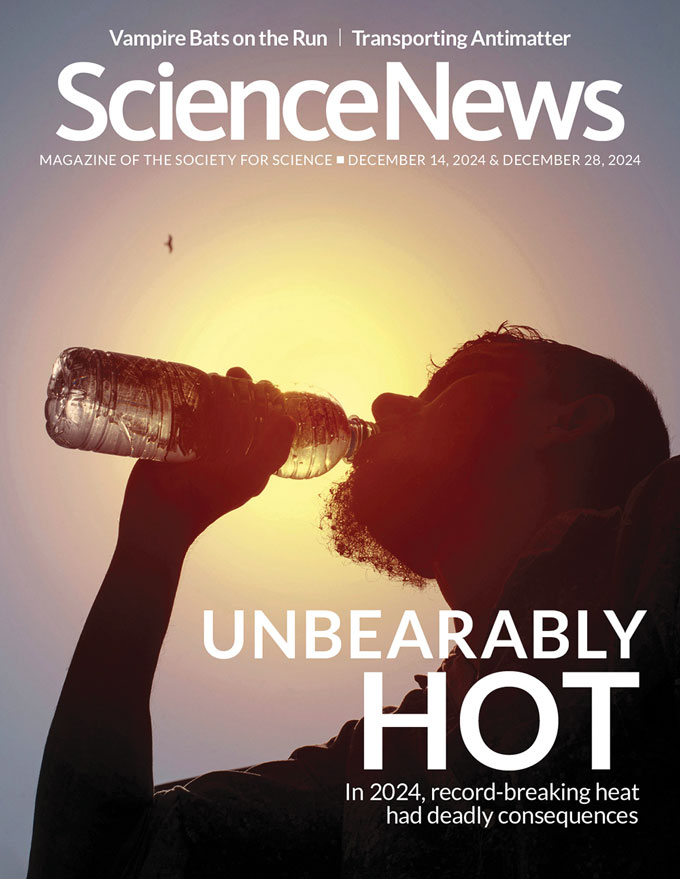 Cover of Science News' December 14 & December 28, 2024 issue