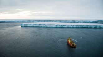 A boat heads toward Pine Island Glacier in Antarctica.
