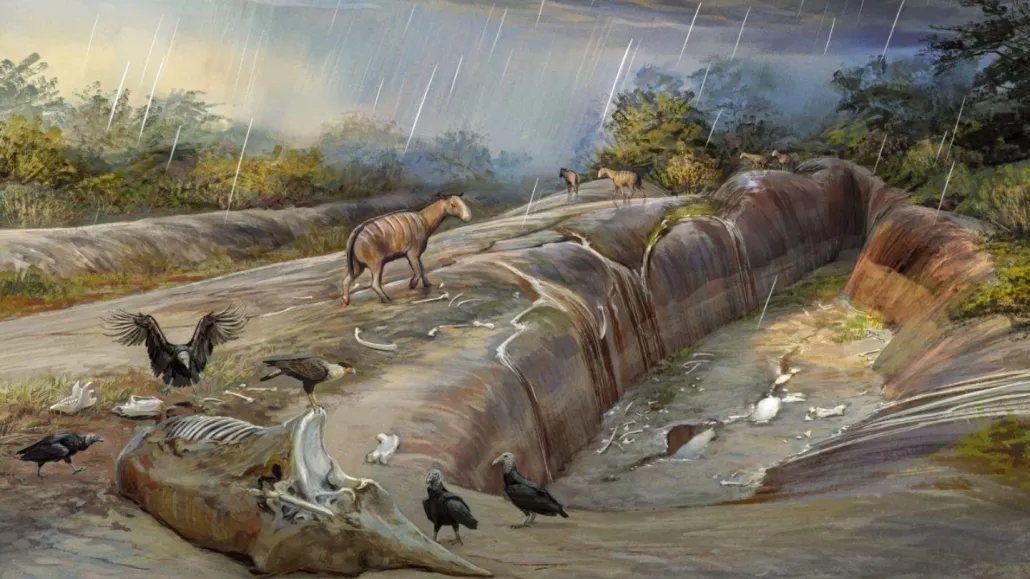 An illustration of large camel-like mammals from thousands of years ago that roamed in what is now Brazil.