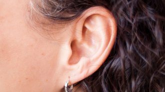 A close-up photograph shows an ear with a silver hoop earring and black wavy hair behind the ear.