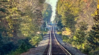 A slightly misaligned railroad track stretching into the distance among a forest