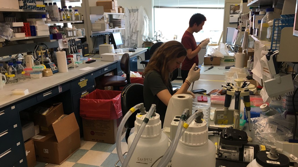 Two people conducting research at a laboratory bench.