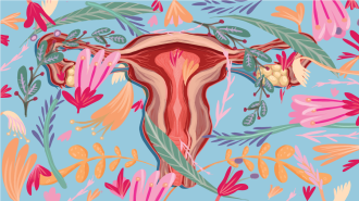Illustration of the female reproductive system surrounded by flowers and leaves.