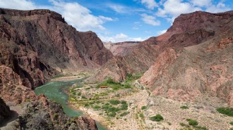 Campground at the bottom of the Grand Canyon.
