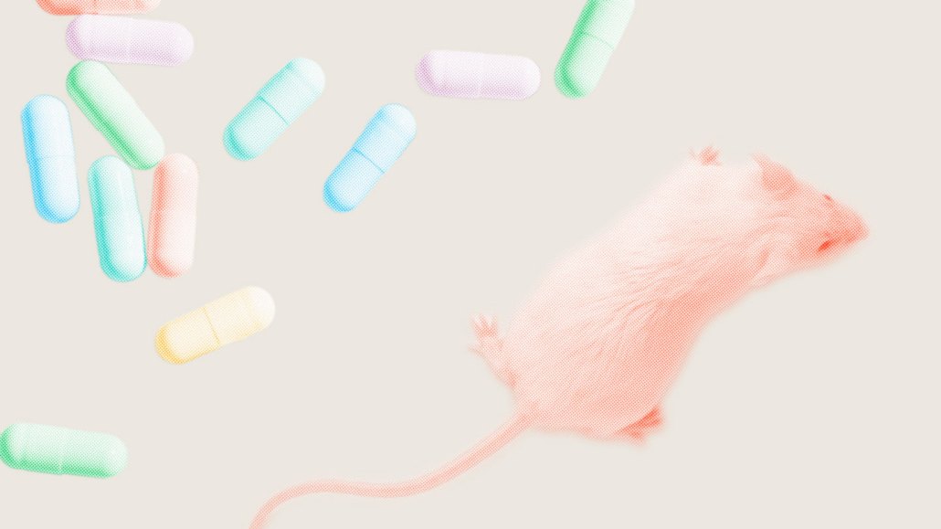 Composite top-down image of a mouse next to multi-colored gel capsules representing probiotic supplements that might support gut bacteria that lowers sugar cravings