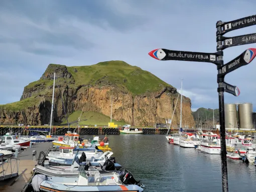 A photo of Heimaey. There are ships in the harbor with a large green cliff in the back. A street sign pointing to locations in different directions features puffin illustrations in each direction.