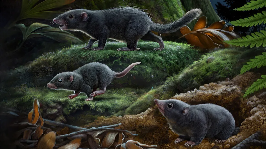 An illustration of small rodentlike mammals on a dense, lush forest floor